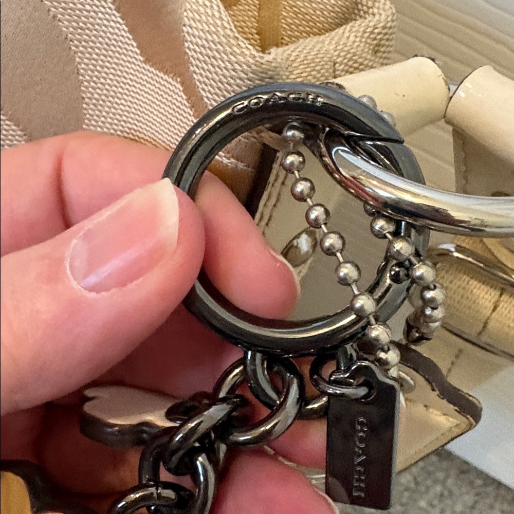 Coach Heritage Stripe Beige with all the Things! - Picture 6 of 14